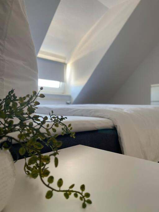 Gemuetliche, Helle Wohnung In Paderborn Eksteriør billede